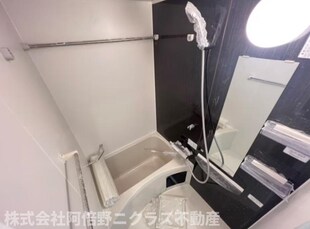 北田辺駅 徒歩7分 3階の物件内観写真